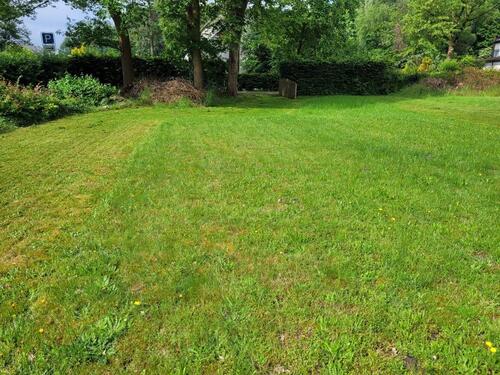 Foto - Grundstück - Stellplatz für Tiny House Wohnmobil - pachten