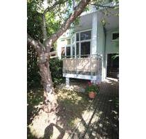 2 Raum Wohnung im EG Blick ins Grüne nahe Schlobigpark in Zwickau