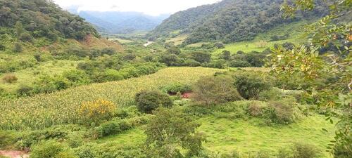 Foto - eigene Farm in Südamerika - 230.000,00&nbsp;EUR Kaufpreis, ca.&nbsp; 280,00&nbsp;m&sup2;