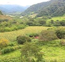 eigene Farm in Südamerika - 230.000,00&nbsp;EUR Kaufpreis, ca.&nbsp; 280,00&nbsp;m&sup2; in Leipzig (PLZ: 04109)