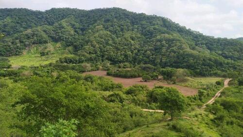 Foto - Einfamilienhaus in Leipzig zum Kaufen