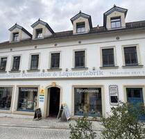 Leben & Wohlfühlen: Charmante 3 Zimmer Wohnung mit Terrasse im Denkmal - Radeberg