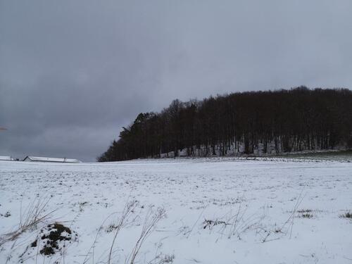 Foto - andere zur Miete in Wietmarschen
