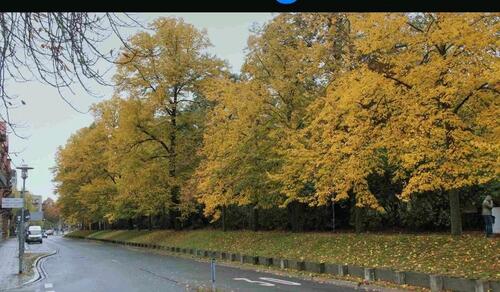 Foto - Renovierte 1,5 Zimmerwohnung am Theater zu vermieten