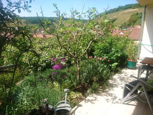 Foto - 2 Zimmer Wohnung in Ramsthal - 600,00&nbsp;EUR Kaltmiete, ca.&nbsp; 67,00&nbsp;m&sup2;