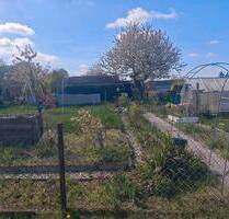 Kleingarten abzugeben - 700,00&nbsp;EUR Kaltmiete, ca.&nbsp; 0,00&nbsp;m&sup2; in Bad Belzig (PLZ: 14806)