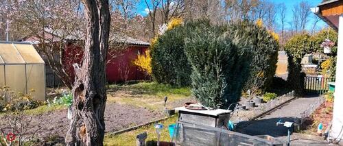 Foto - Grundst&uuml;ck zur Miete in Torgelow