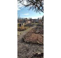 Pachtgarten - 1.100,00&nbsp;EUR Kaltmiete, ca.&nbsp; 0,00&nbsp;m&sup2; in Amt Wachsenburg (PLZ: 99334)