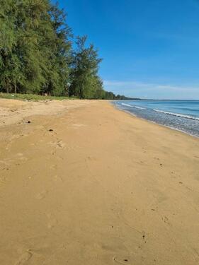 Foto - Einfamilienhaus zum Kaufen in Belm
