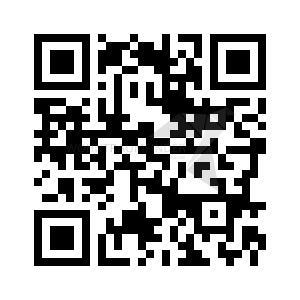 Foto - 1 Zimmer Dachgeschoßwohnung zur Miete in Zwickau