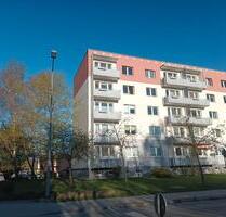 Helle 3-Zimmerwohnung in Greifswald zu vermieten