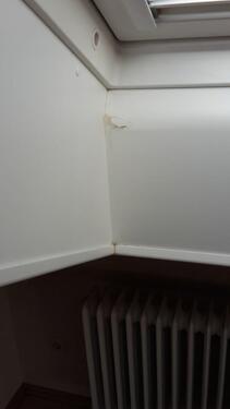 Foto - Dachgeschoßwohnung in Schwetzingen zur Miete