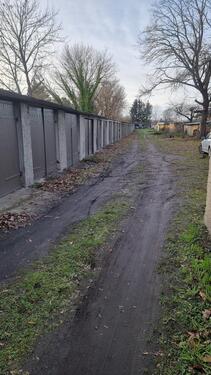Foto - andere in Cottbus zur Miete