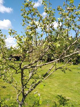 Foto - Einfamilienhaus zum Kaufen in Bad Sooden-Allendorf