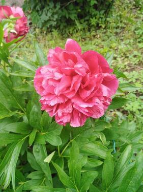 Foto - Einfamilienhaus in Bad Sooden-Allendorf