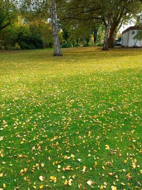 Foto - Einfamilienhaus in Bad Sooden-Allendorf zum Kaufen