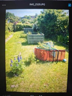 Foto - Kleingarten Travemünde abzugeben für diese Saison