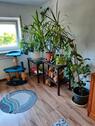 Foto - 1.5 Zimmer Etagenwohnung in Trier