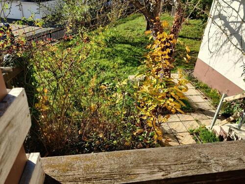 Foto - 2 Zimmer Erdgeschoßwohnung zur Miete in Gotha