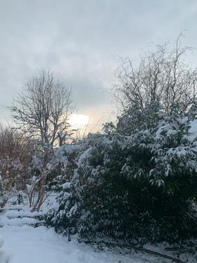 Foto - Vermietung Harsefeld 3 Zimmer EG Wohnung zentral