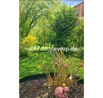 Wohnungsswap - 4 Zimmer, 90 m² - Poggenpool, Altona, Hamburg