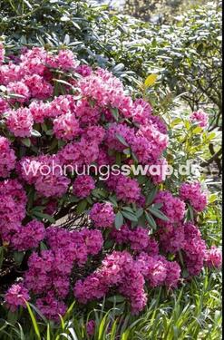 Foto - 4 Zimmer Etagenwohnung in Hamburg