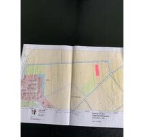 12000 qm Ackerland in Werl Sönnern