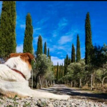 Foto - schönes Bauernhaus in der Toskana