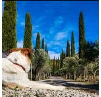 schönes Bauernhaus in der Toskana - Bingen am Rhein