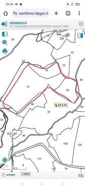 Foto - Bauernhaus, Landhaus in Bingen am Rhein zum Kaufen