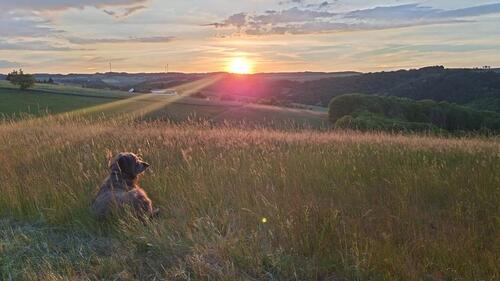 Foto - Schöne helle gut geschnittene DG Wohnung Balkon Nähe Lauterecken