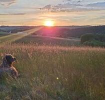 Schöne helle gut geschnittene DG Wohnung Balkon Nähe Lauterecken