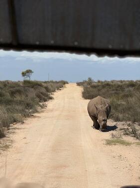 Foto - andere zur Miete in Wangen im Allgäu