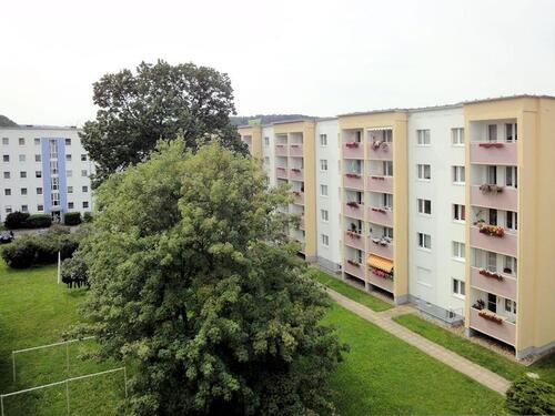 Foto - 3 Zimmer Etagenwohnung zur Miete in Freital