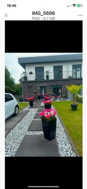 Foto - Eckhaus in Oyten zu verkaufen. - 495.000,00&nbsp;EUR Kaufpreis, ca.&nbsp; 130,00&nbsp;m&sup2;