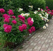 Gepflegte 3 Zimmer Wohnung Garage ab 01.10. oder 01.11.2026 - Aßlar