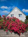 Foto - Modernisiertes Einfamilienhaus in traumhafter Waldlage
