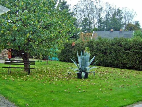 Foto - andere zur Miete in Bentwisch