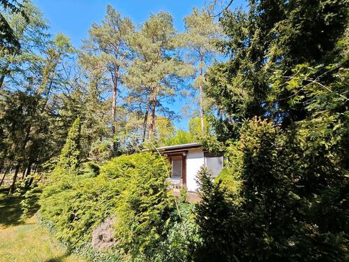Foto - Pachtgrundstück Bungalow Schorfheide Waldgrundstück Garten