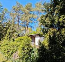 Pachtgrundstück Bungalow Schorfheide Waldgrundstück Garten