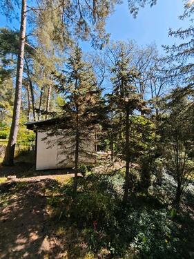 Foto - Bungalow in Schorfheide