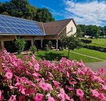 Pferdehof Bauernhof mit Reitplatz in 55765 Elchweiler - Birkenfeld