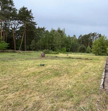 Foto - Natur pur - Freizeitgrundstück mit altem Haus