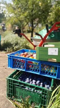 Foto - gepflegter Garten mit massiver Laube in Prenzlau ab sofort