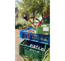 gepflegter Garten mit massiver Laube in Prenzlau ab sofort