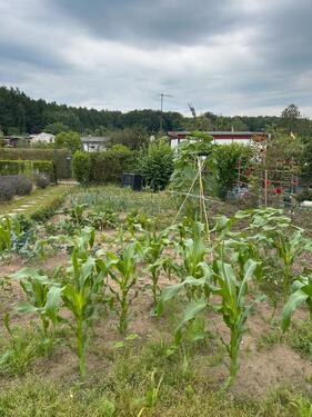 Foto - Grundst&uuml;ck zur Miete in Binz