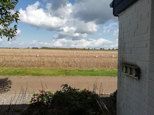 Foto - Provisionsfrei! Familienfreundlich Feldrandlage fast barrierefrei