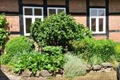 Foto - Helle Zweizimmer-Wohnung - 341,00 EUR Kaltmiete,