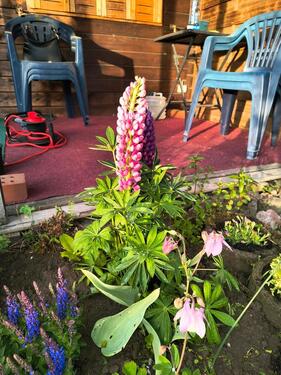 Foto - Garten in Altenhain - 999,00&nbsp;EUR Kaltmiete, ca.&nbsp; 0,00&nbsp;m&sup2;