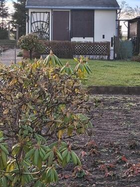 Foto - Grundst&uuml;ck in Bannewitz